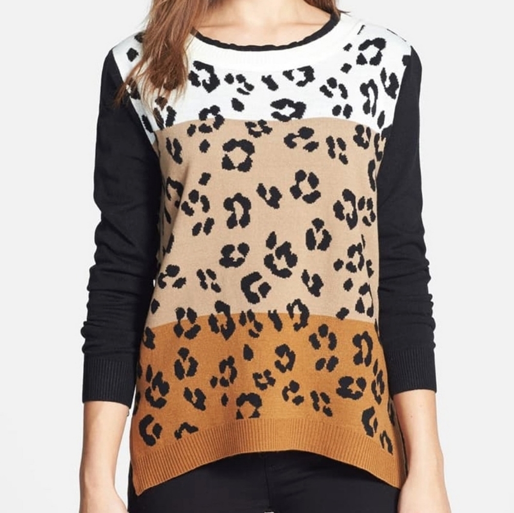 FATE Leopard Print Color Block Sweater​